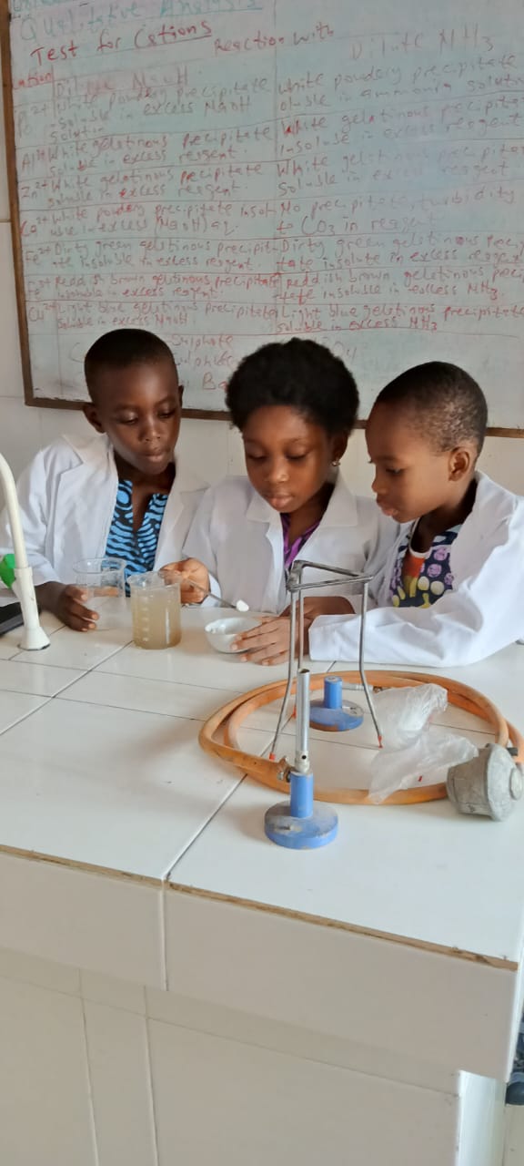 Qualitative Chemical Analysis & Cation Testing